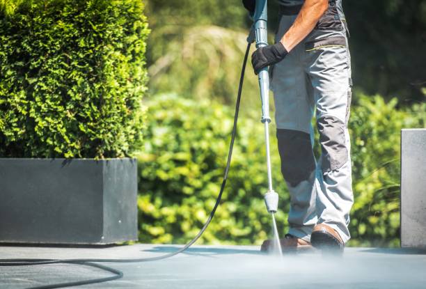 Best Roof Washing  in Monmouth Junction, NJ